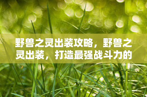 野兽之灵出装攻略，野兽之灵出装，打造最强战斗力的秘密