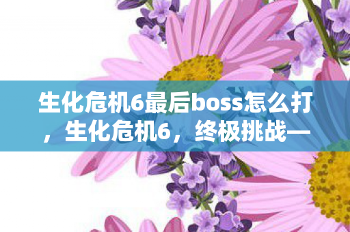 生化危机6最后boss怎么打，生化危机6，终极挑战—直面最后Boss的震撼体验
