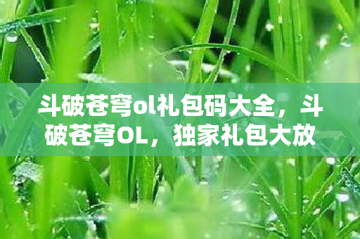 斗破苍穹ol礼包码大全，斗破苍穹OL，独家礼包大放送，助你驰骋斗气大陆