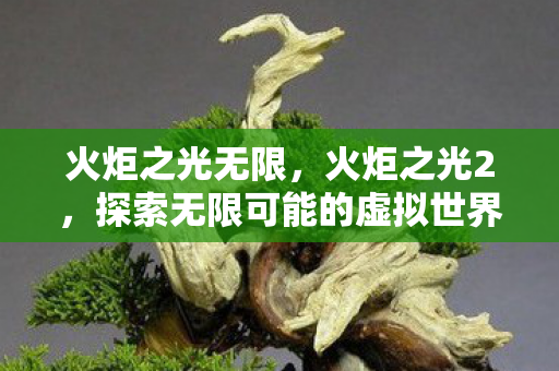 火炬之光无限，火炬之光2，探索无限可能的虚拟世界