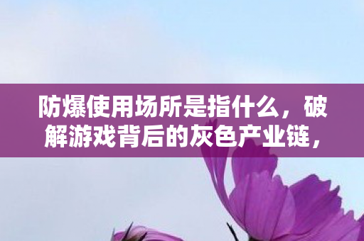防爆使用场所是指什么,破解游戏背后的灰色产业链,警惕防爆使的陷阱 防爆使用场所是指什么,破解游戏背后的灰色产业链,警惕防爆使的陷阱