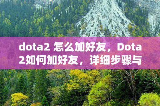 dota2 怎么加好友，Dota2如何加好友，详细步骤与注意事项