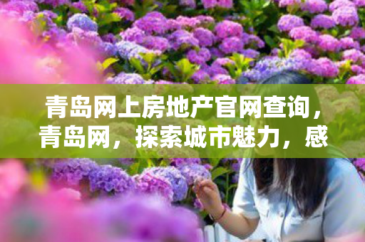 青岛网上房地产官网查询，青岛网，探索城市魅力，感受海洋风情