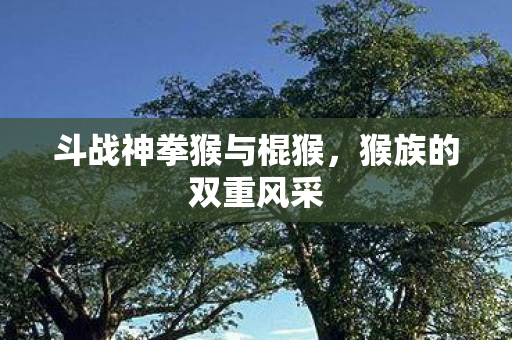 斗战神拳猴与棍猴，猴族的双重风采