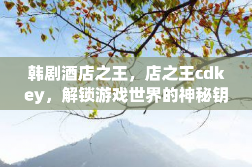 韩剧酒店之王，店之王cdkey，解锁游戏世界的神秘钥匙