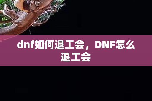 dnf如何退工会，DNF怎么退工会