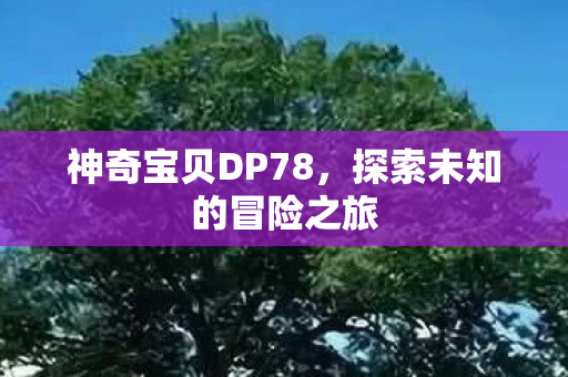 神奇宝贝DP78，探索未知的冒险之旅