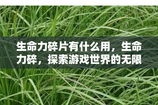 生命力碎片有什么用，生命力碎，探索游戏世界的无限可能