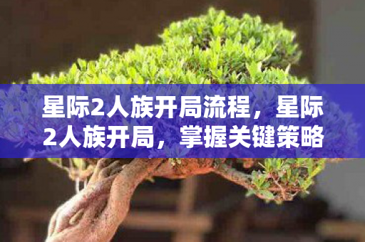 星际2人族开局流程，星际2人族开局，掌握关键策略，打造强势开局