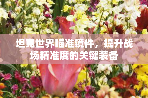 坦克世界瞄准镜件，提升战场精准度的关键装备