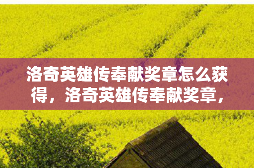 洛奇英雄传奉献奖章怎么获得,洛奇英雄传奉献奖章,荣耀与成就的见证 洛奇英雄传奉献奖章怎么获得,洛奇英雄传奉献奖章,荣耀与成就的见证