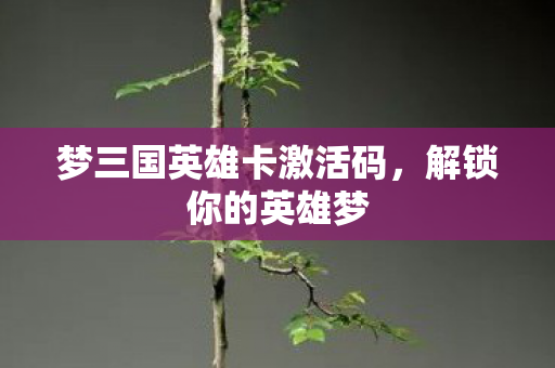 梦三国英雄卡激活码，解锁你的英雄梦