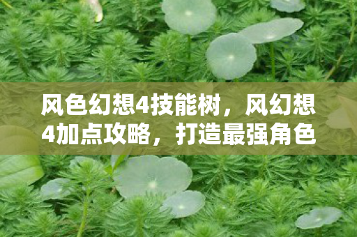 风色幻想4技能树，风幻想4加点攻略，打造最强角色，征服幻想世界