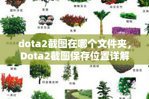 dota2截图在哪个文件夹，Dota2截图保存位置详解