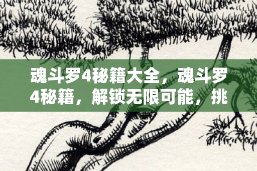 魂斗罗4秘籍大全,魂斗罗4秘籍,解锁无限可能,挑战极限! 魂斗罗4秘籍大全,魂斗罗4秘籍,解锁无限可能,挑战极限!
