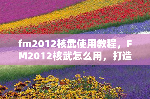 fm2012核武使用教程，FM2012核武怎么用，打造个性化游戏策略