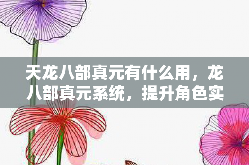 天龙八部真元有什么用，龙八部真元系统，提升角色实力的关键
