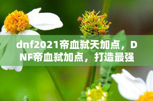 dnf2021帝血弑天加点，DNF帝血弑加点，打造最强战斗力的加点策略