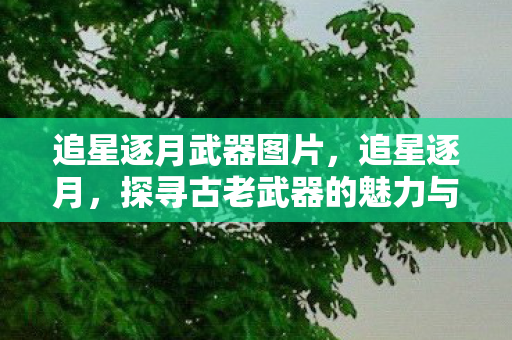 追星逐月武器图片,追星逐月,探寻古老武器的魅力与传奇 追星逐月武器图片,追星逐月,探寻古老武器的魅力与传奇