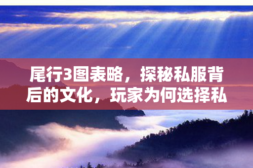 尾行3图表略,探秘私服背后的文化,玩家为何选择私服? 尾行3图表略,探秘私服背后的文化,玩家为何选择私服?