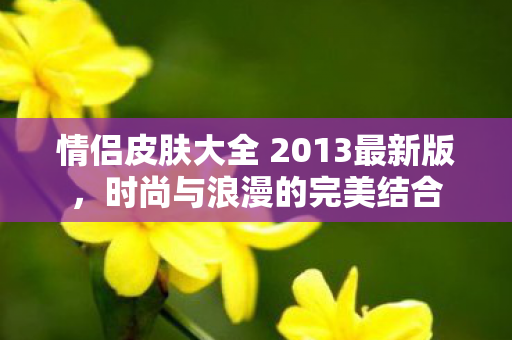情侣皮肤大全 2013最新版，时尚与浪漫的完美结合
