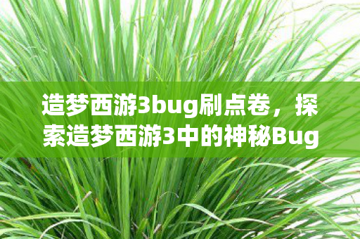 造梦西游3bug刷点卷，探索造梦西游3中的神秘Bug，挑战与机遇并存