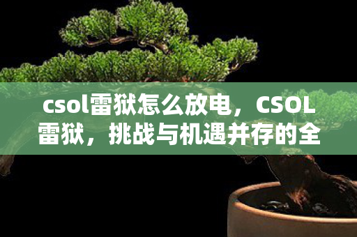 csol雷狱怎么放电，CSOL雷狱，挑战与机遇并存的全新时代