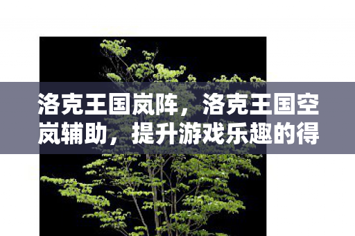 洛克王国岚阵，洛克王国空岚辅助，提升游戏乐趣的得力助手