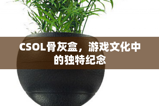 CSOL骨灰盒，游戏文化中的独特纪念