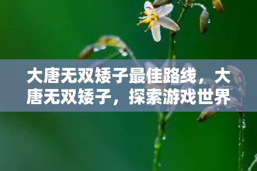大唐无双矮子最佳路线,大唐无双矮子,探索游戏世界的独特魅力 大唐无双矮子最佳路线,大唐无双矮子,探索游戏世界的独特魅力