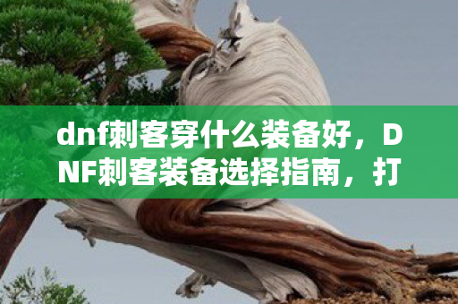 dnf刺客穿什么装备好，DNF刺客装备选择指南，打造高效爆发力的关键装备推荐