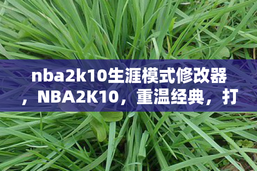 nba2k10生涯模式修改器,NBA2K10,重温经典,打造专属篮球传奇 nba2k10生涯模式修改器,NBA2K10,重温经典,打造专属篮球传奇