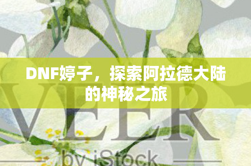 DNF婷子，探索阿拉德大陆的神秘之旅