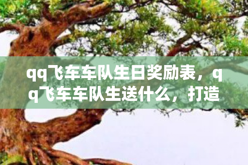 qq飞车车队生日奖励表，qq飞车车队生送什么，打造专属车队福利，提升团队凝聚力