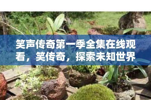 笑声传奇第一季全集在线观看,笑传奇,探索未知世界的奇妙旅程 笑声传奇第一季全集在线观看,笑传奇,探索未知世界的奇妙旅程