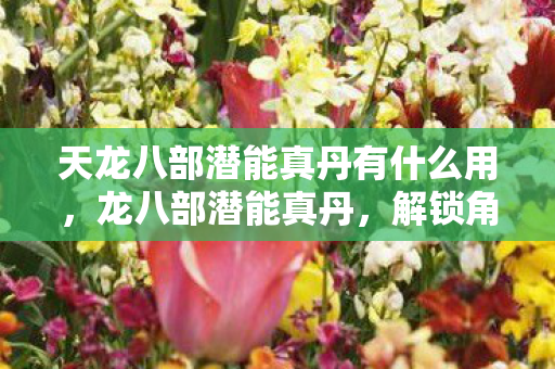 天龙八部潜能真丹有什么用，龙八部潜能真丹，解锁角色潜力的神秘宝物