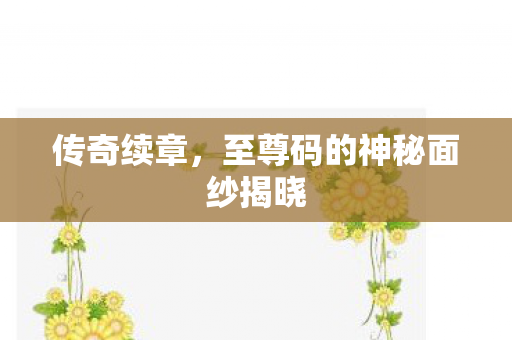 传奇续章，至尊码的神秘面纱揭晓