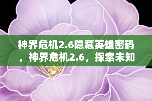 神界危机2.6隐藏英雄密码，神界危机2.6，探索未知世界的奇幻冒险