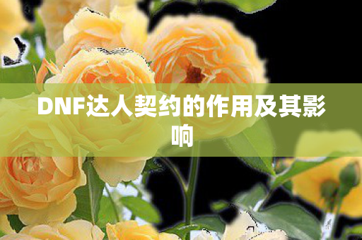 DNF达人契约的作用及其影响 DNF达人契约的作用及其影响
