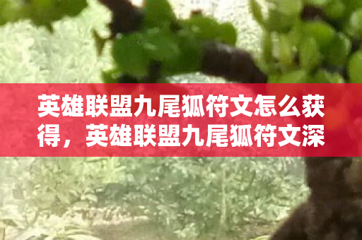 英雄联盟九尾狐符文怎么获得，英雄联盟九尾狐符文深度解析，掌握核心，提升战斗实力