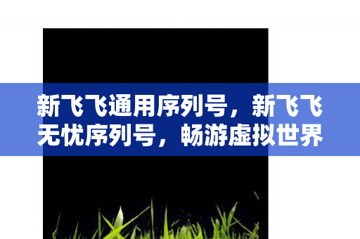 新飞飞通用序列号,新飞飞无忧序列号,畅游虚拟世界的通行证 新飞飞通用序列号,新飞飞无忧序列号,畅游虚拟世界的通行证