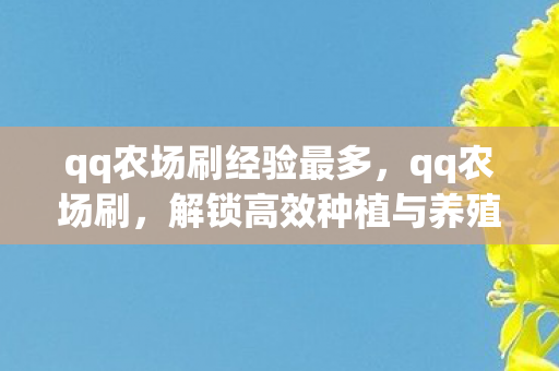 qq农场刷经验最多，qq农场刷，解锁高效种植与养殖的秘诀