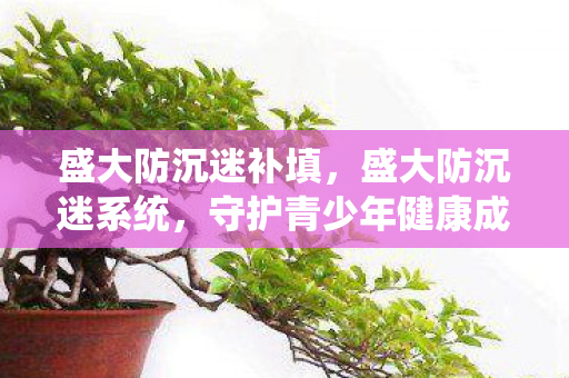 盛大防沉迷补填，盛大防沉迷系统，守护青少年健康成长的数字盾牌