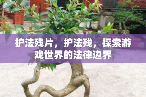 护法残片，护法残，探索游戏世界的法律边界