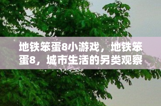 地铁笨蛋8小游戏，地铁笨蛋8，城市生活的另类观察