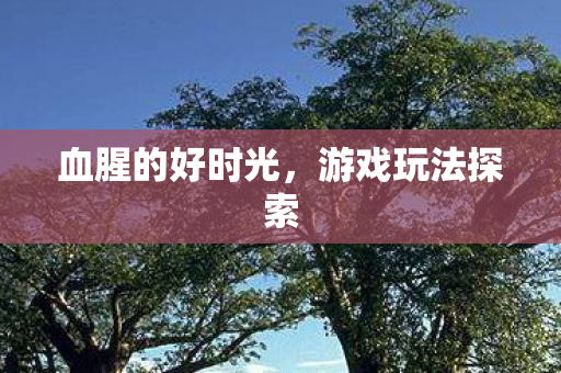 血腥的好时光,游戏玩法探索 血腥的好时光,游戏玩法探索