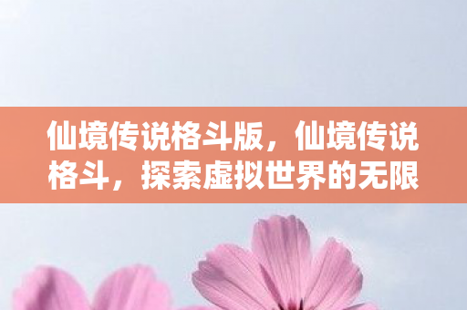 仙境传说格斗版，仙境传说格斗，探索虚拟世界的无限可能