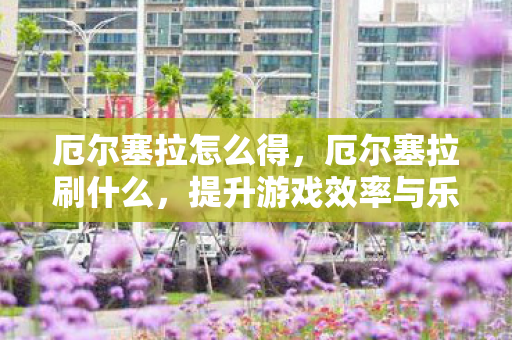 厄尔塞拉怎么得,厄尔塞拉刷什么,提升游戏效率与乐趣的实用建议 厄尔塞拉怎么得,厄尔塞拉刷什么,提升游戏效率与乐趣的实用建议