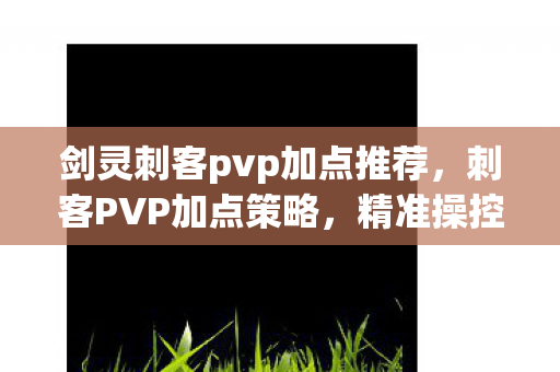 剑灵刺客pvp加点推荐，刺客PVP加点策略，精准操控，一击毙命