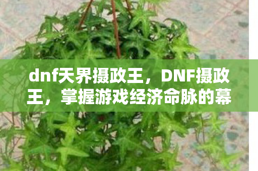 dnf天界摄政王，DNF摄政王，掌握游戏经济命脉的幕后大佬